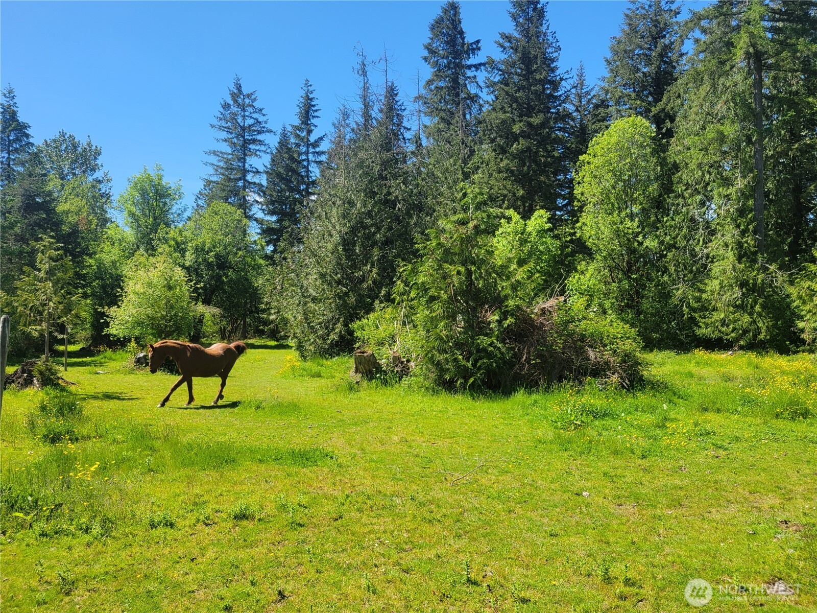 632 Meier Road Winlock WA 98596