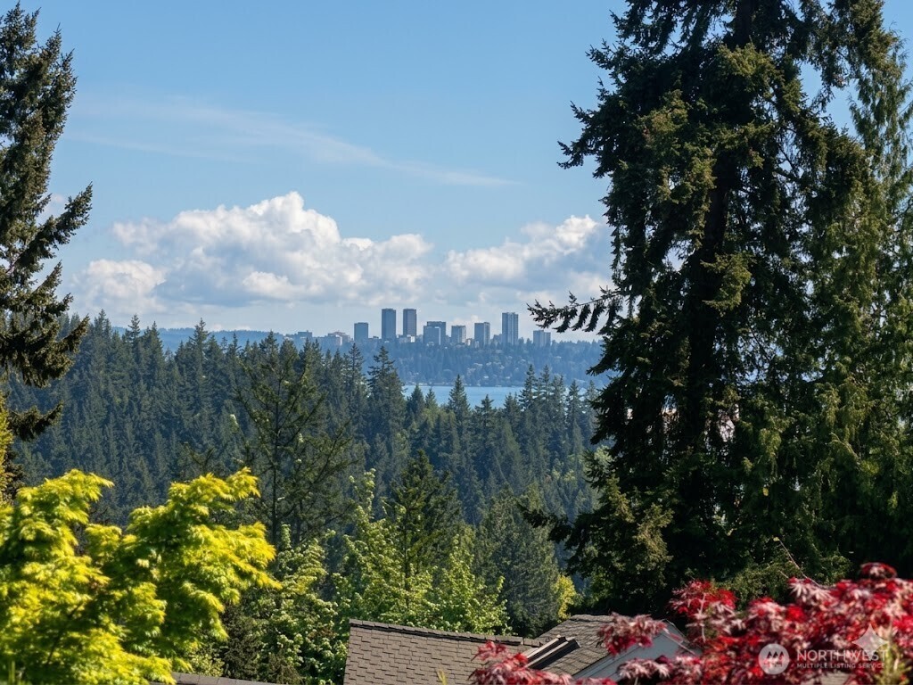 10023 NE 28th Place Bellevue WA 98004