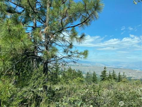 0 Big Springs Ranch Road Malaga WA 98828