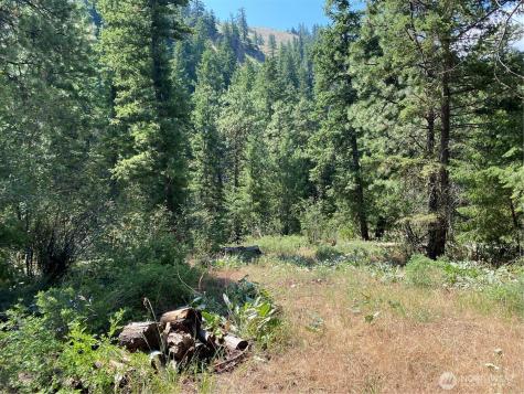 0 Big Springs Ranch Road Malaga WA 98828