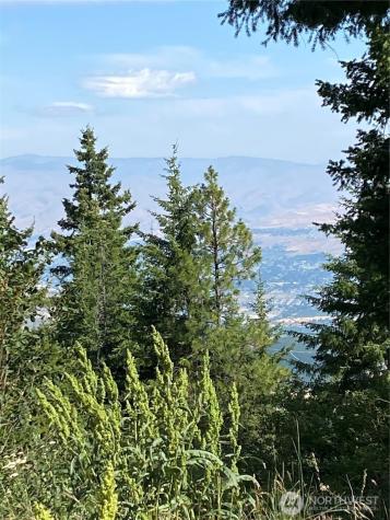 0 Big Springs Ranch Road Malaga WA 98828