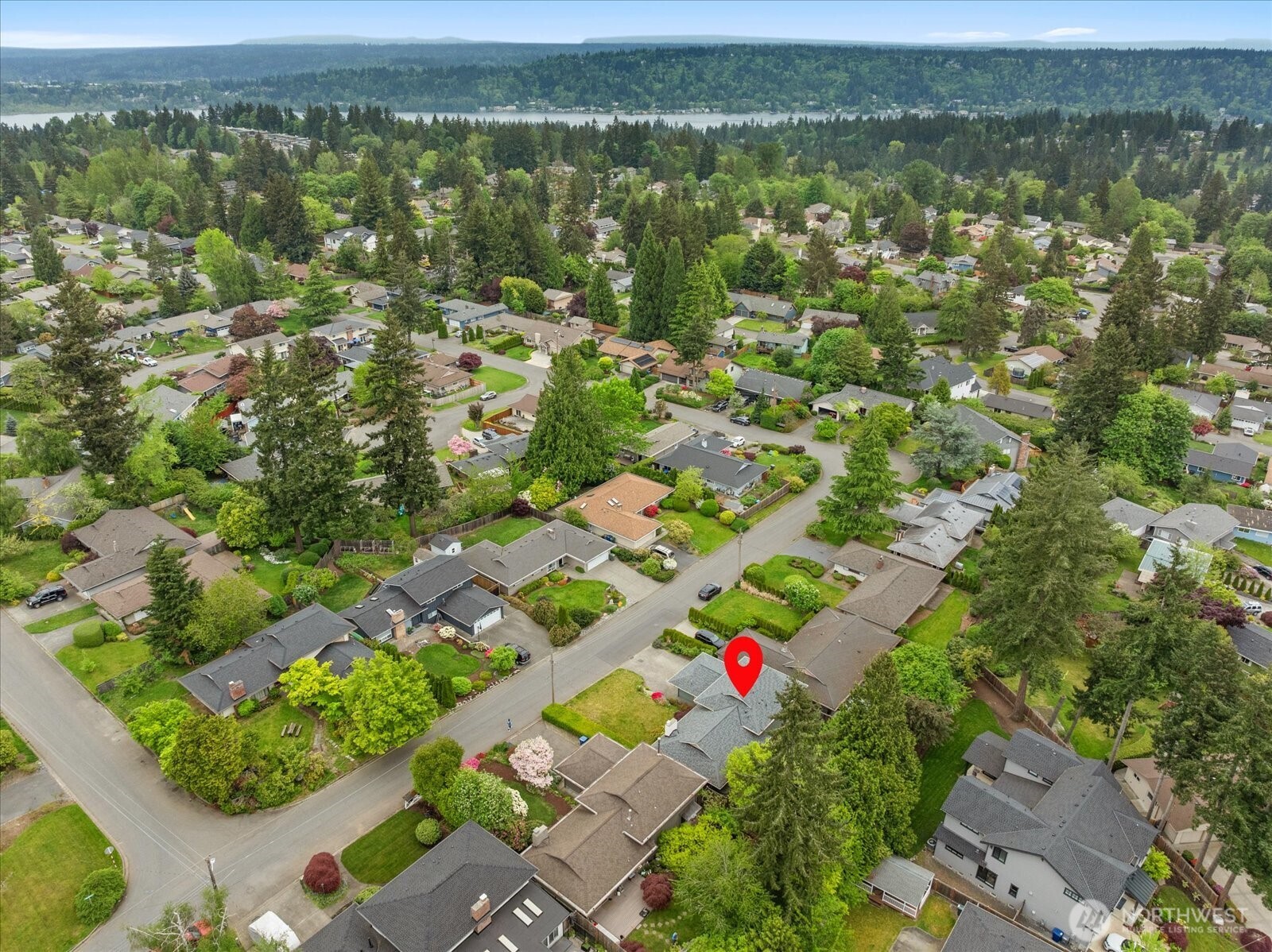 17013 NE 18th Street Bellevue WA 98008