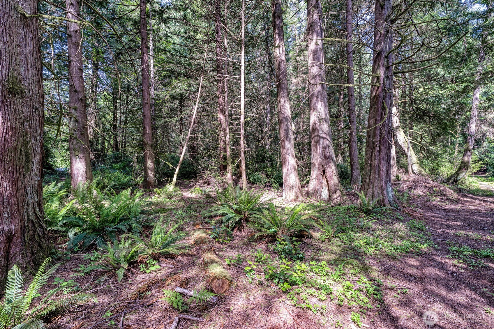 15873 Peacock Hill Road SE Olalla WA 98359