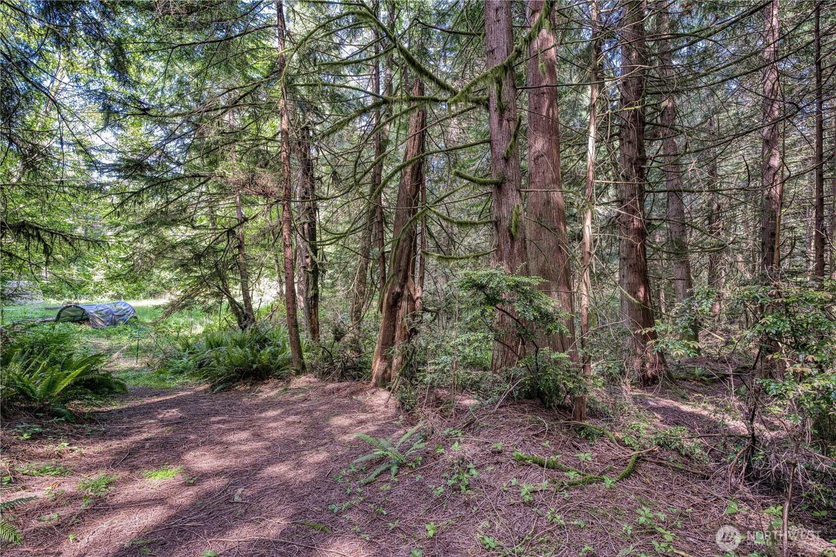 15873 Peacock Hill Road SE Olalla WA 98359