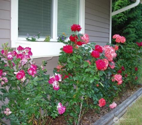 23601 71st Drive SE Woodinville WA 98072