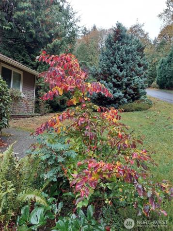 23601 71st Drive SE Woodinville WA 98072
