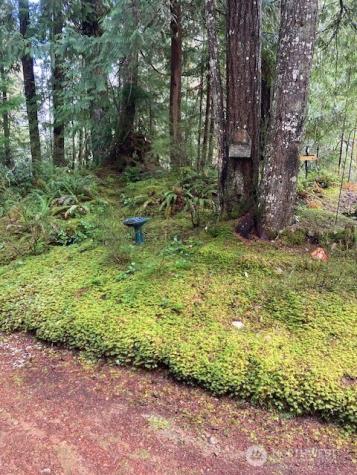 950 N Potlatch Drive Hoodsport WA 98548