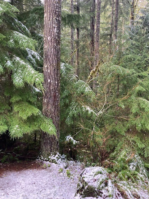 950 N Potlatch Drive Hoodsport WA 98548