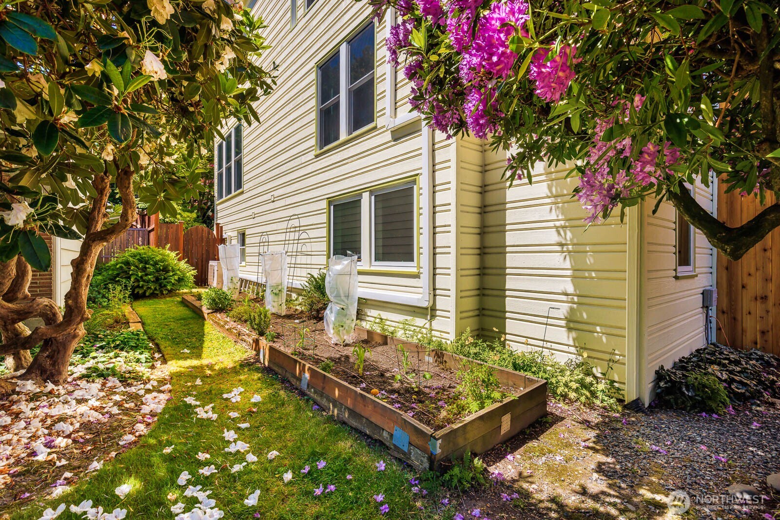 8819 Ashworth Avenue N Seattle WA 98103