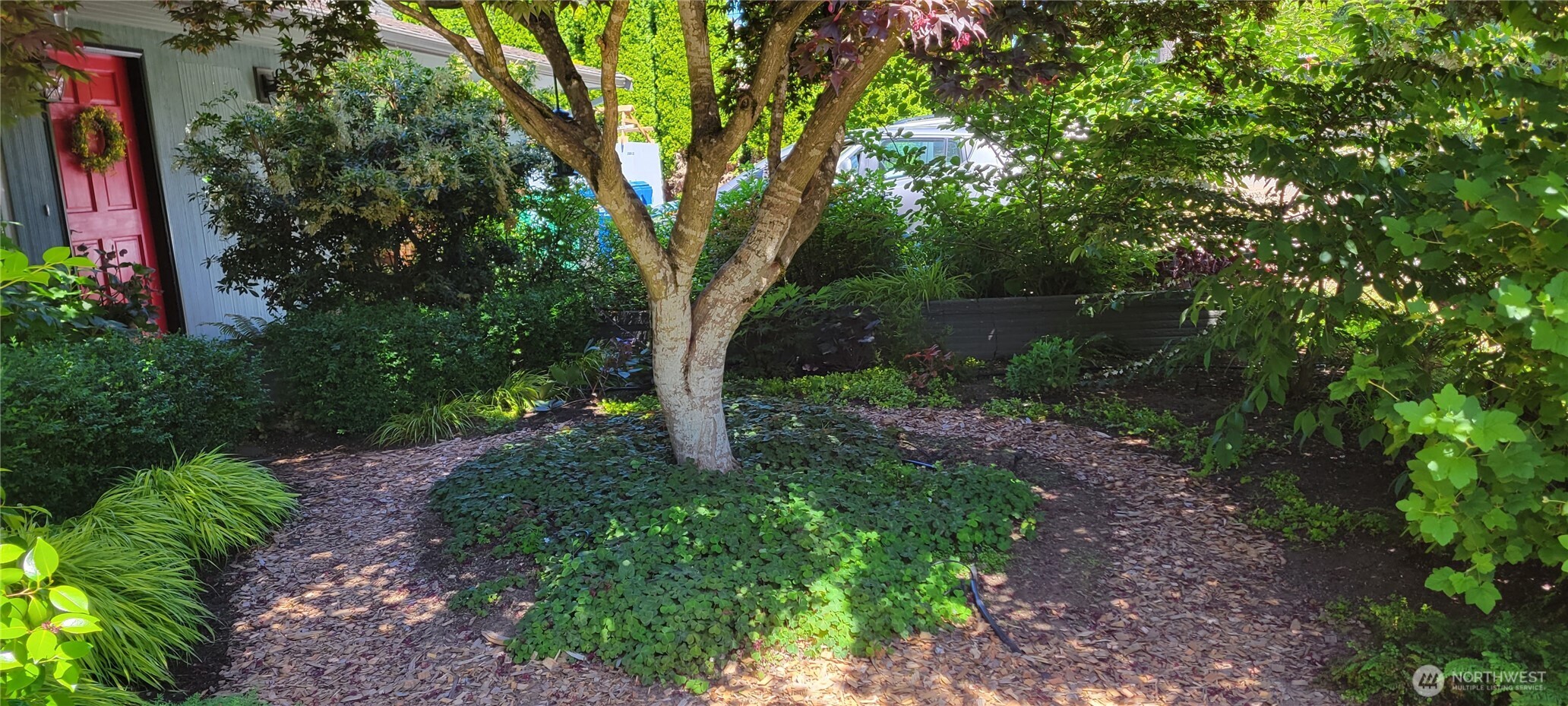 10743 14th Avenue NE Seattle WA 98125