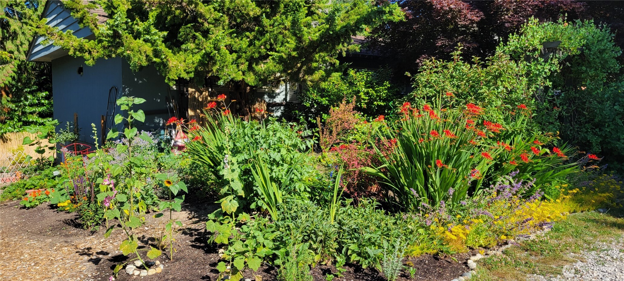 10743 14th Avenue NE Seattle WA 98125