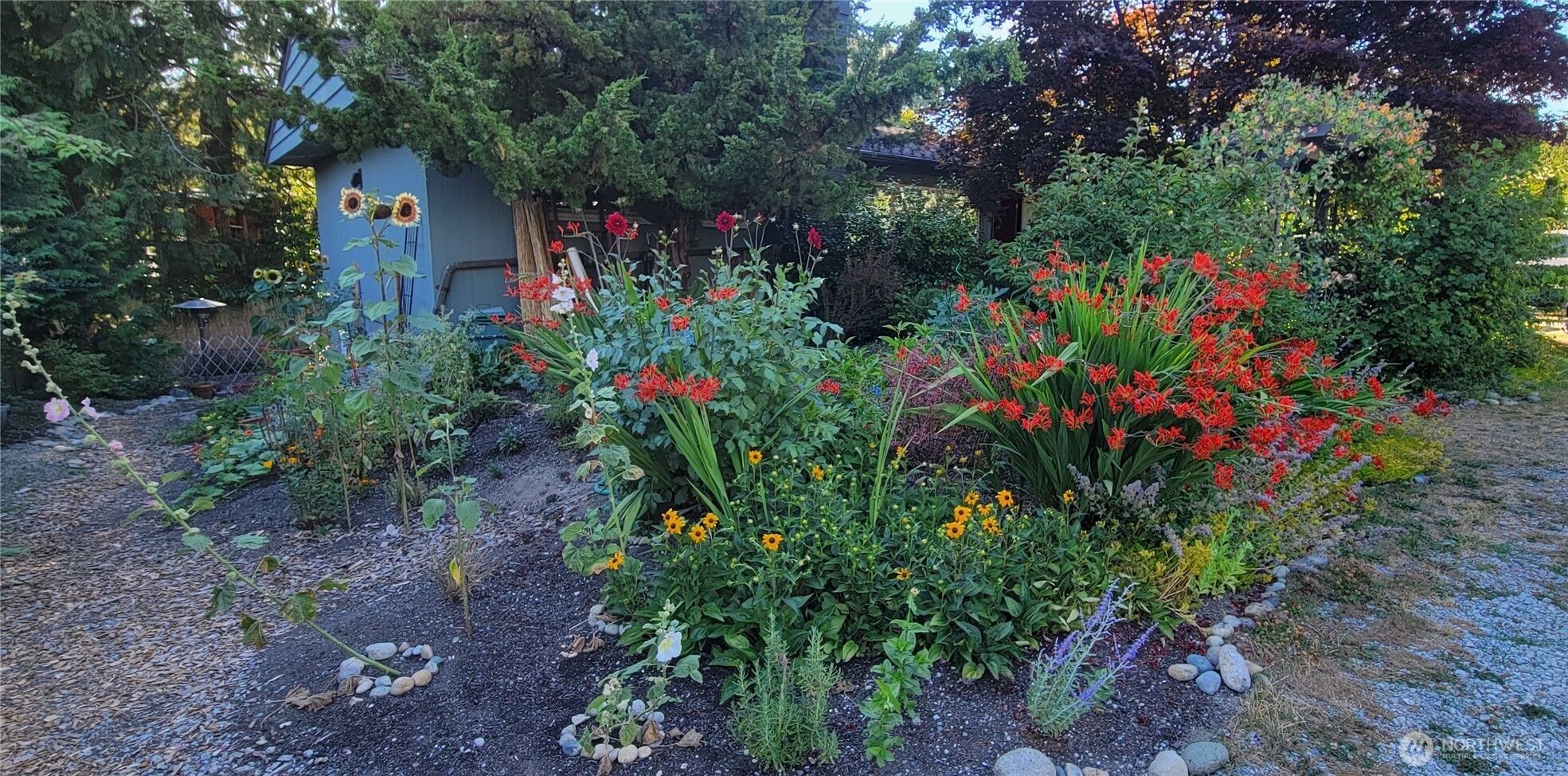 10743 14th Avenue NE Seattle WA 98125