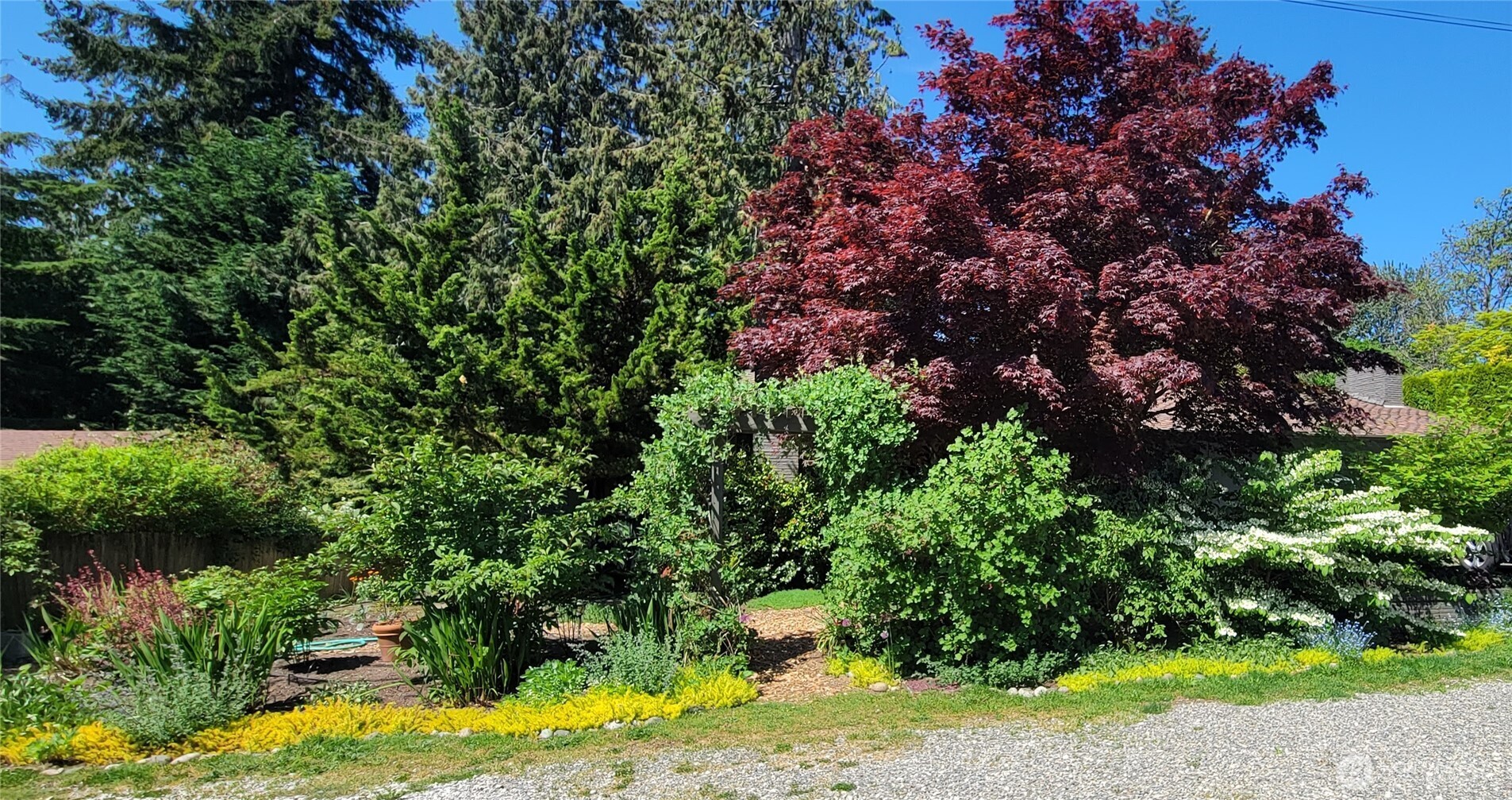 10743 14th Avenue NE Seattle WA 98125