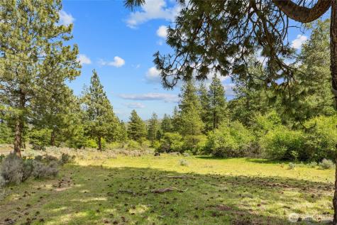 6750 Secret Canyon Road Ellensburg WA 98926