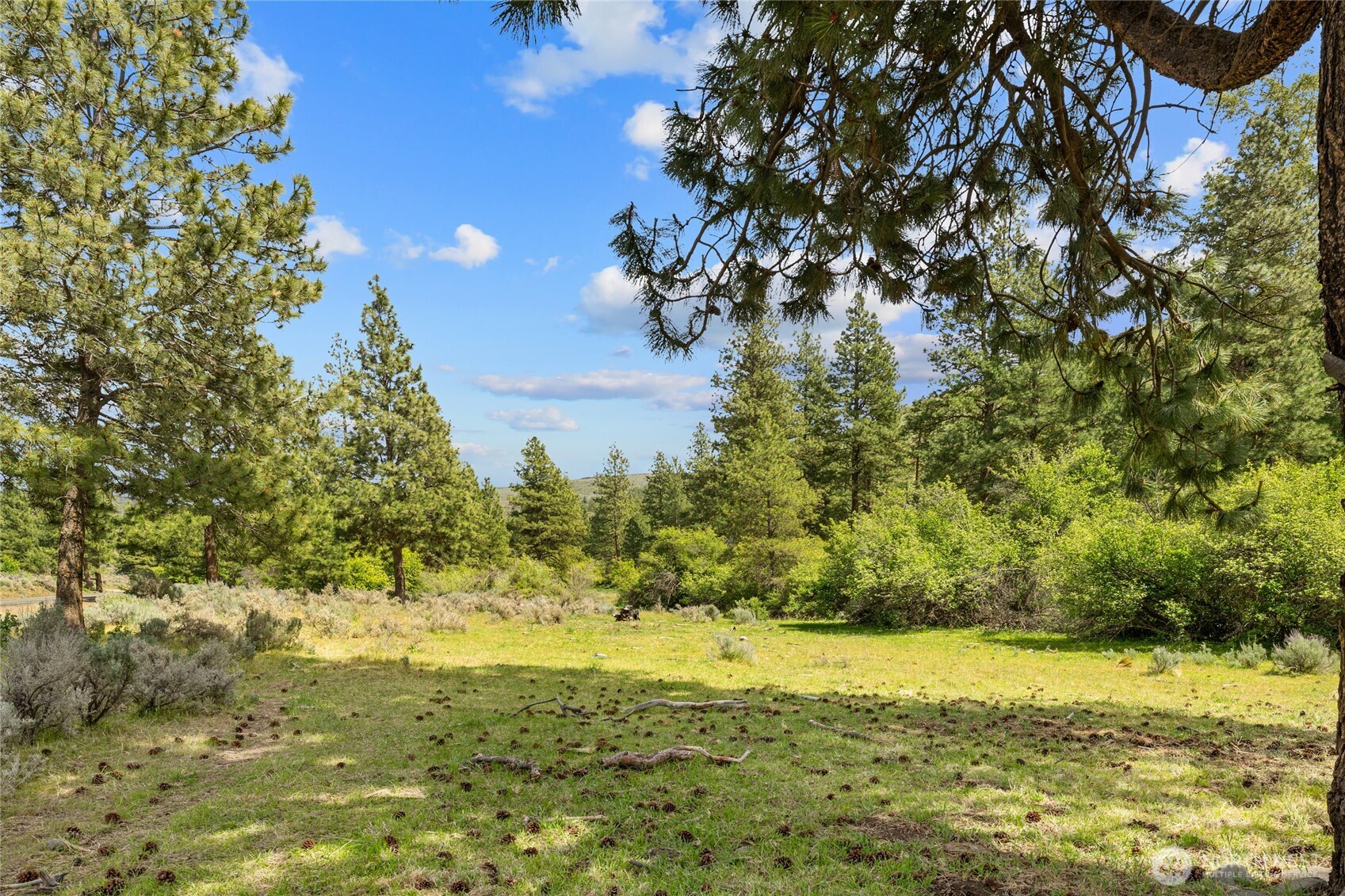 6750 Secret Canyon Road Ellensburg WA 98926