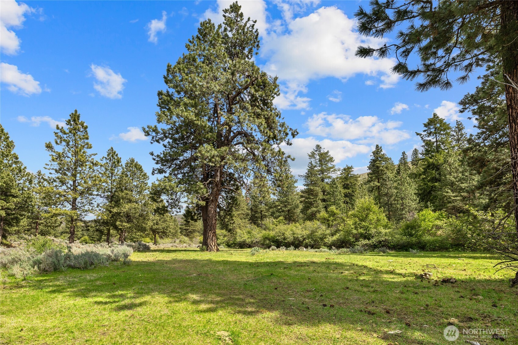 6750 Secret Canyon Road Ellensburg WA 98926
