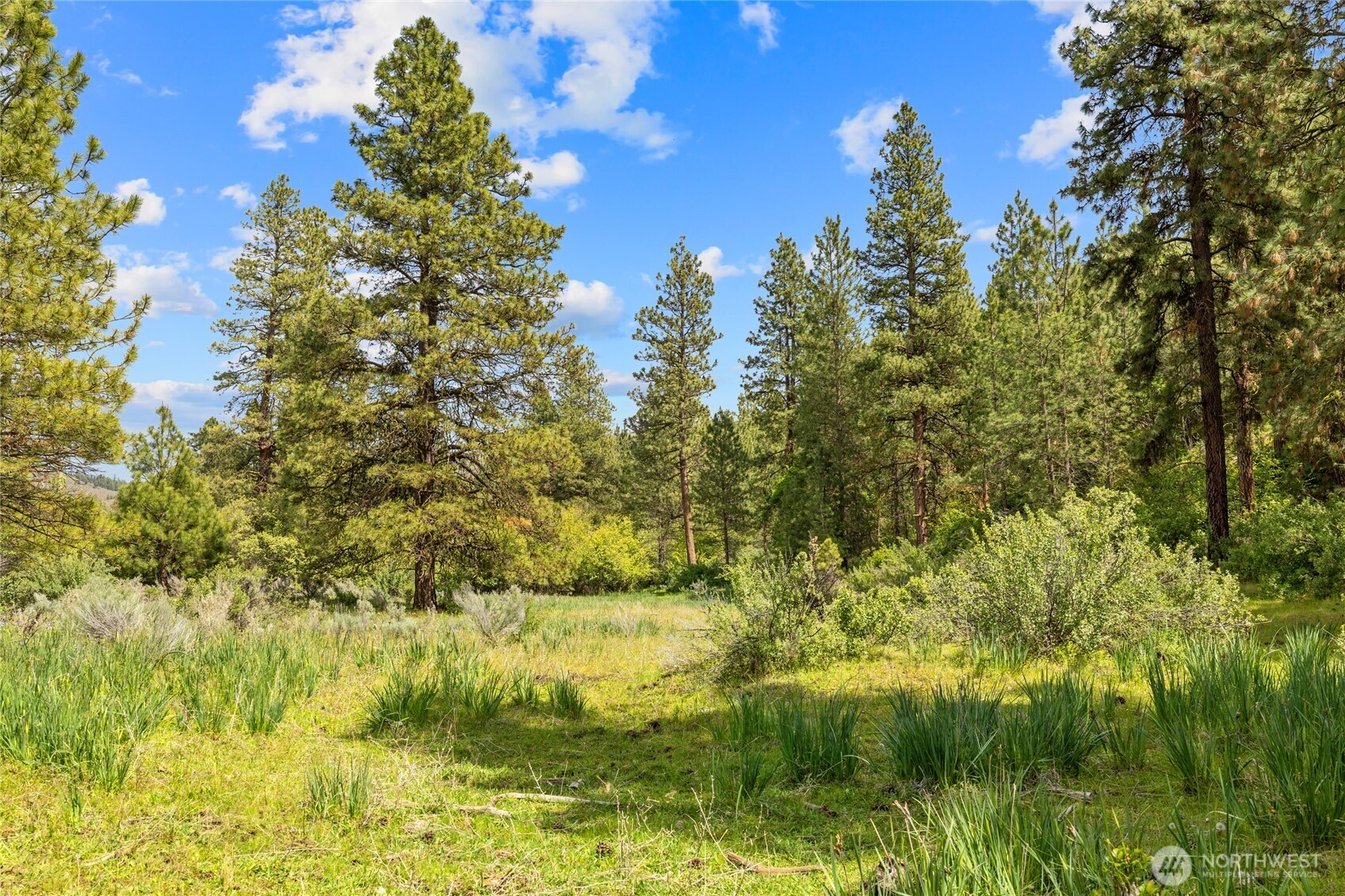 6750 Secret Canyon Road Ellensburg WA 98926