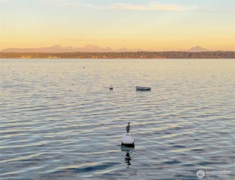 1535 Watkins Drive Camano Island WA 98282