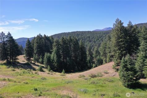 100 Spring Meadow Lane Oroville WA 98844