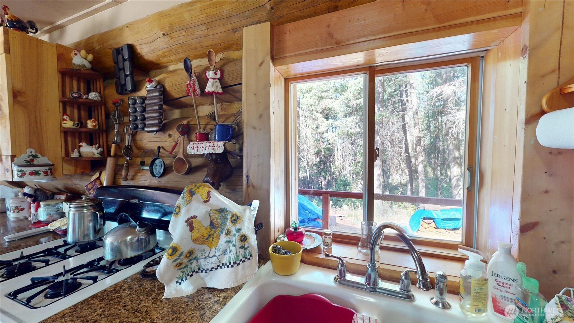 100 Spring Meadow Lane Oroville WA 98844
