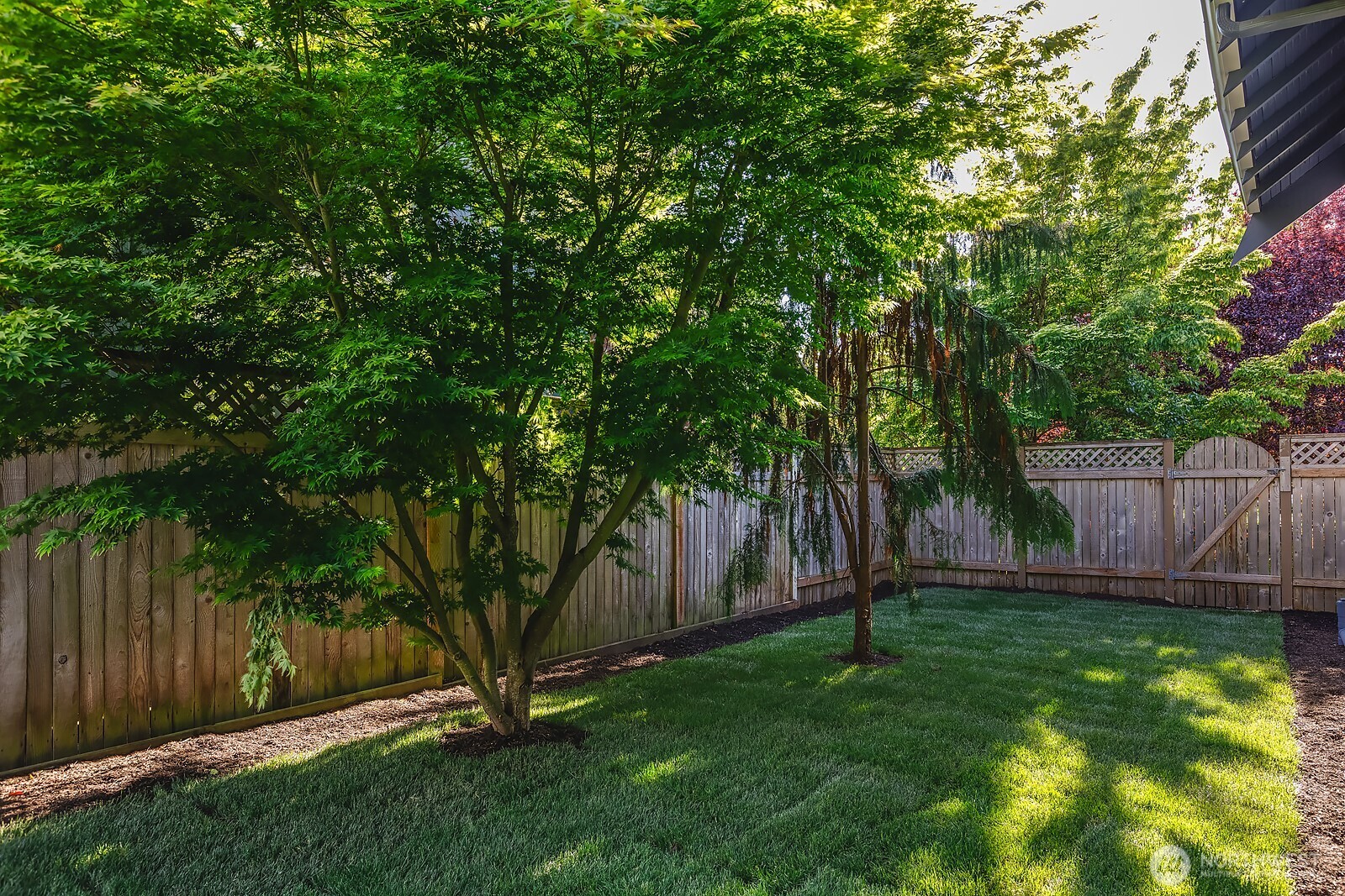7056 26th Avenue NW Seattle WA 98117