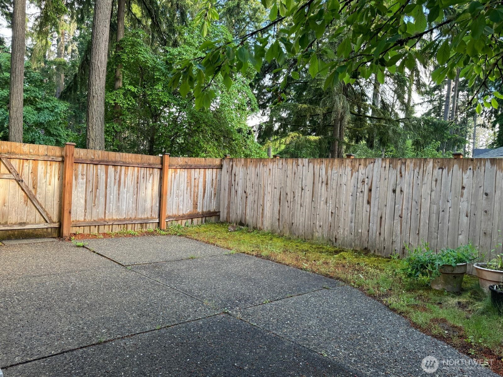 4203 Timberline Drive SE Lacey WA 98503