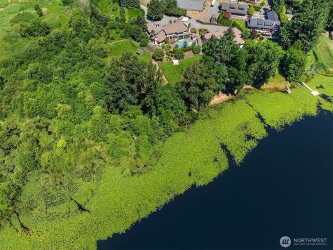 15805 SE 16th Street Bellevue WA 98008