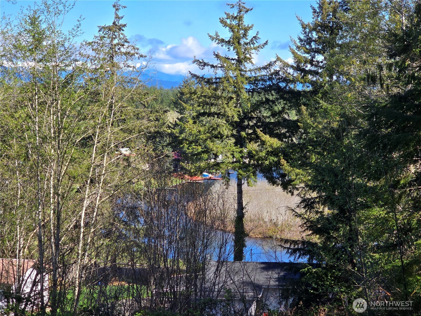 80 W Satsop Drive Elma WA 98541