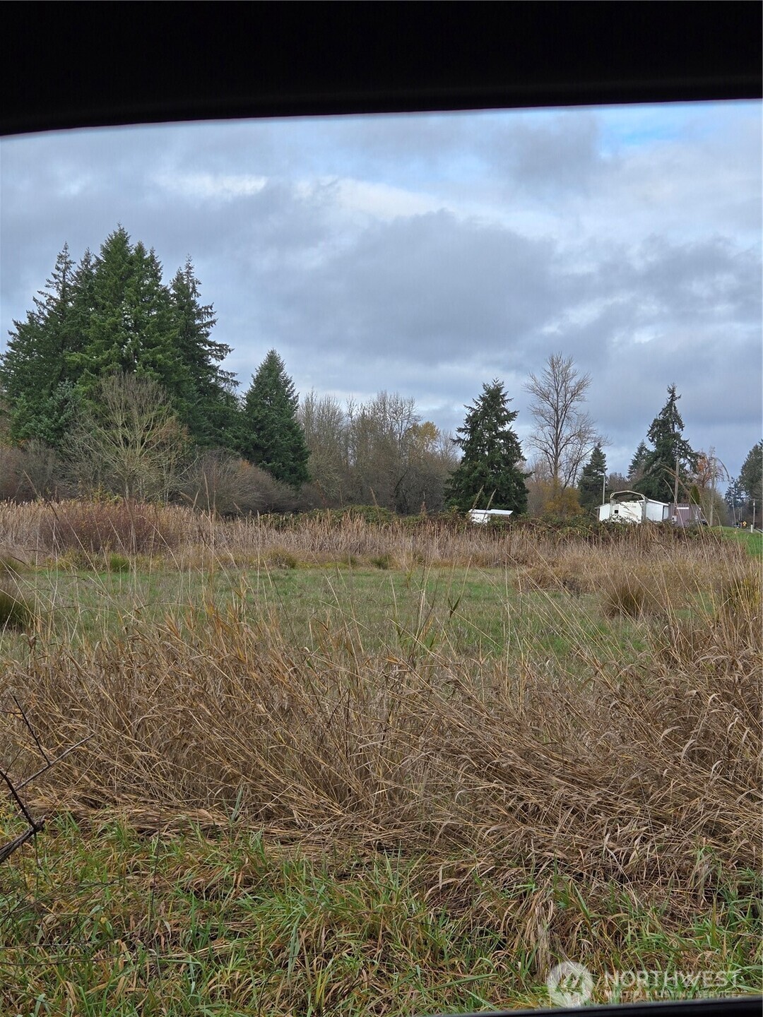 1466 Ferrier Road Winlock WA 98596