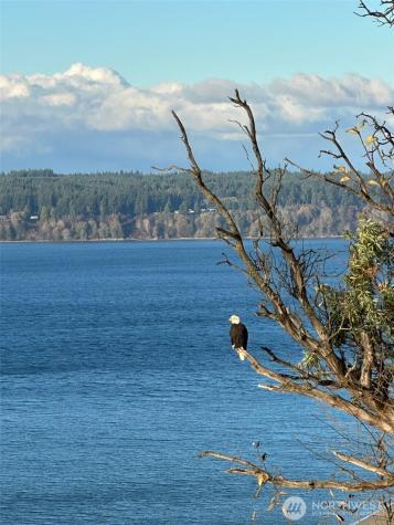24 View Place Hat Island WA 98206