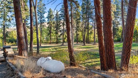 106 Wolf Ridge Lane Dayton WA 99328