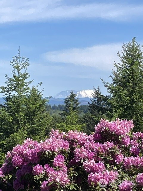 167 Hilltop View Drive Chehalis WA 98532