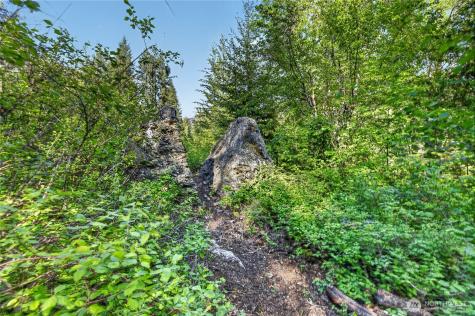 19 Two Rivers Road Mazama WA 98833