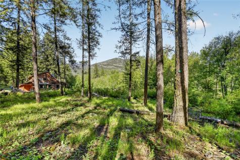 19 Two Rivers Road Mazama WA 98833