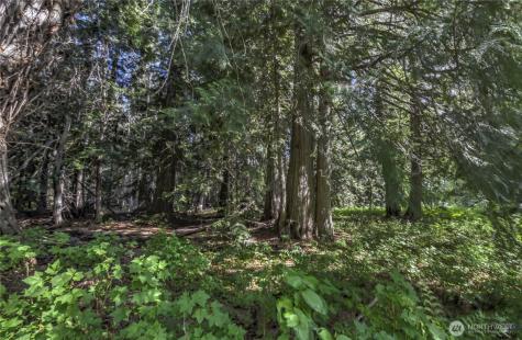 19 Two Rivers Road Mazama WA 98833