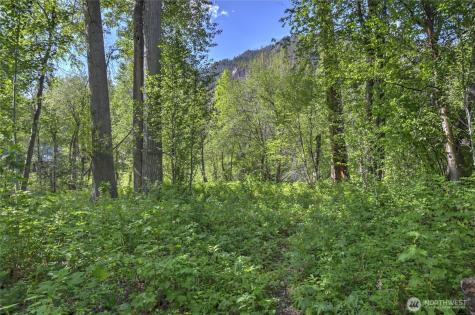 19 Two Rivers Road Mazama WA 98833