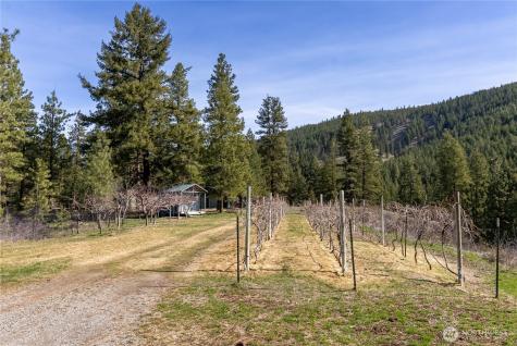26 Smith Canyon Road Carlton WA 98814