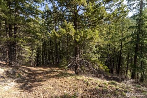 26 Smith Canyon Road Carlton WA 98814