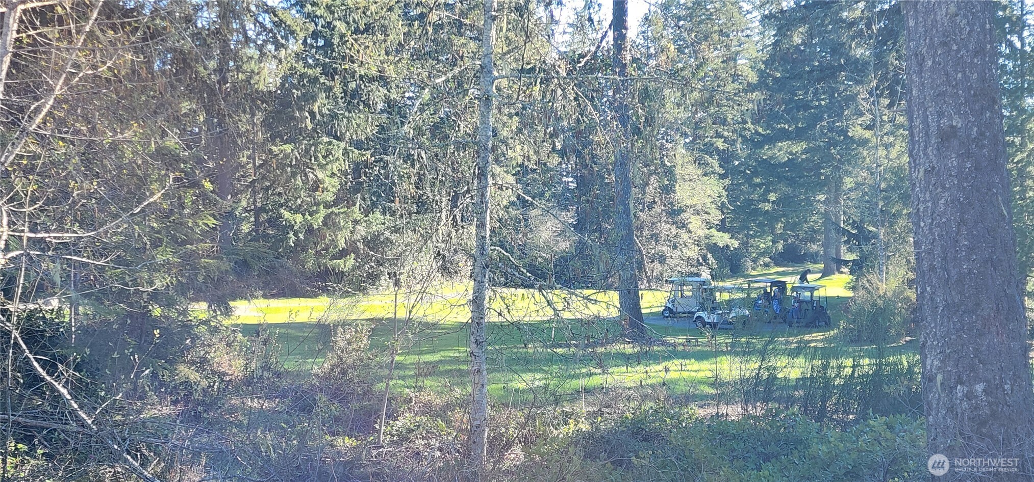 160 E Country Club Drive N Union WA 98592