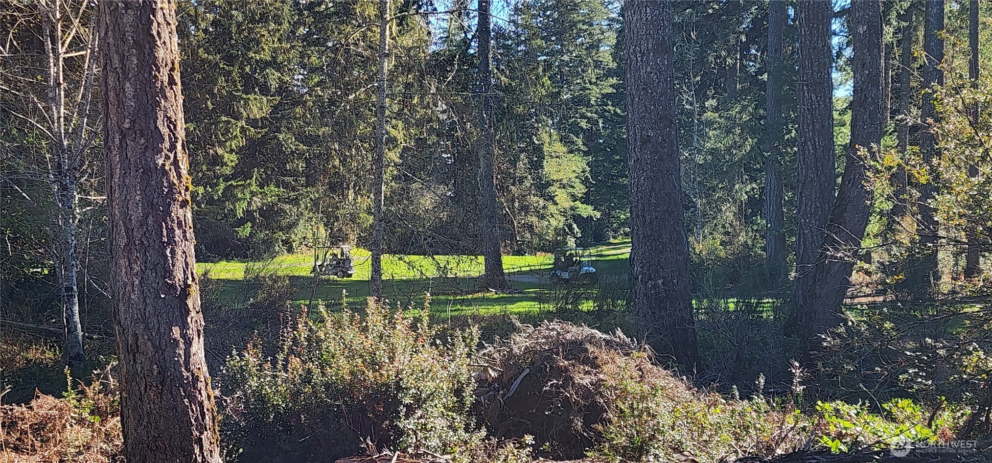 160 E Country Club Drive N Union WA 98592