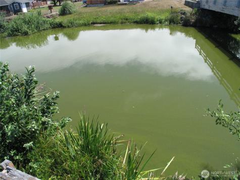 34500 G Street Ocean Park WA 98640