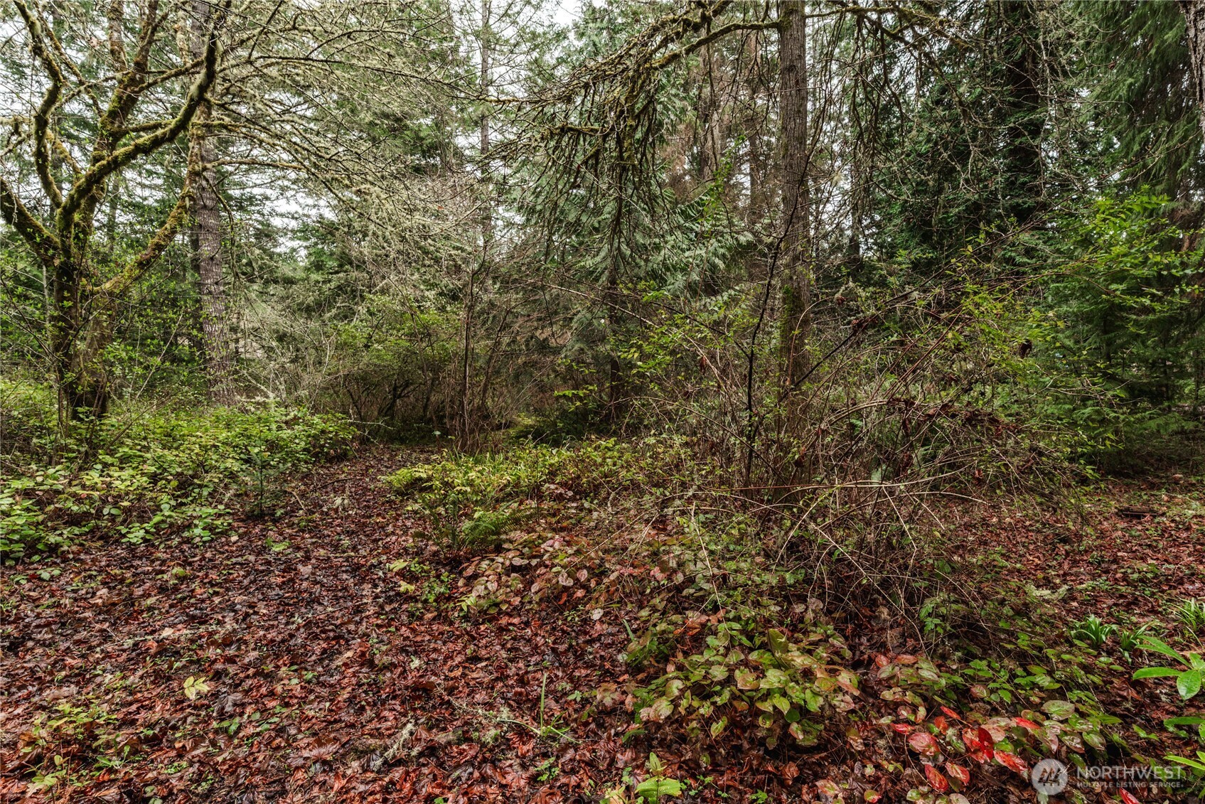 7418 NW Ioka Drive Silverdale WA 98383