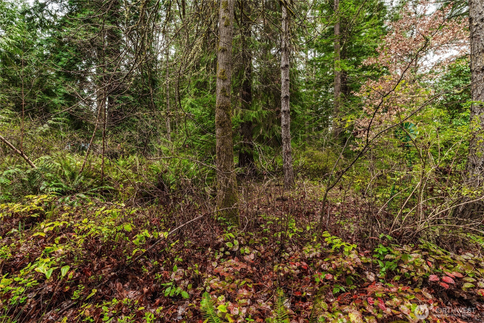 7418 NW Ioka Drive Silverdale WA 98383