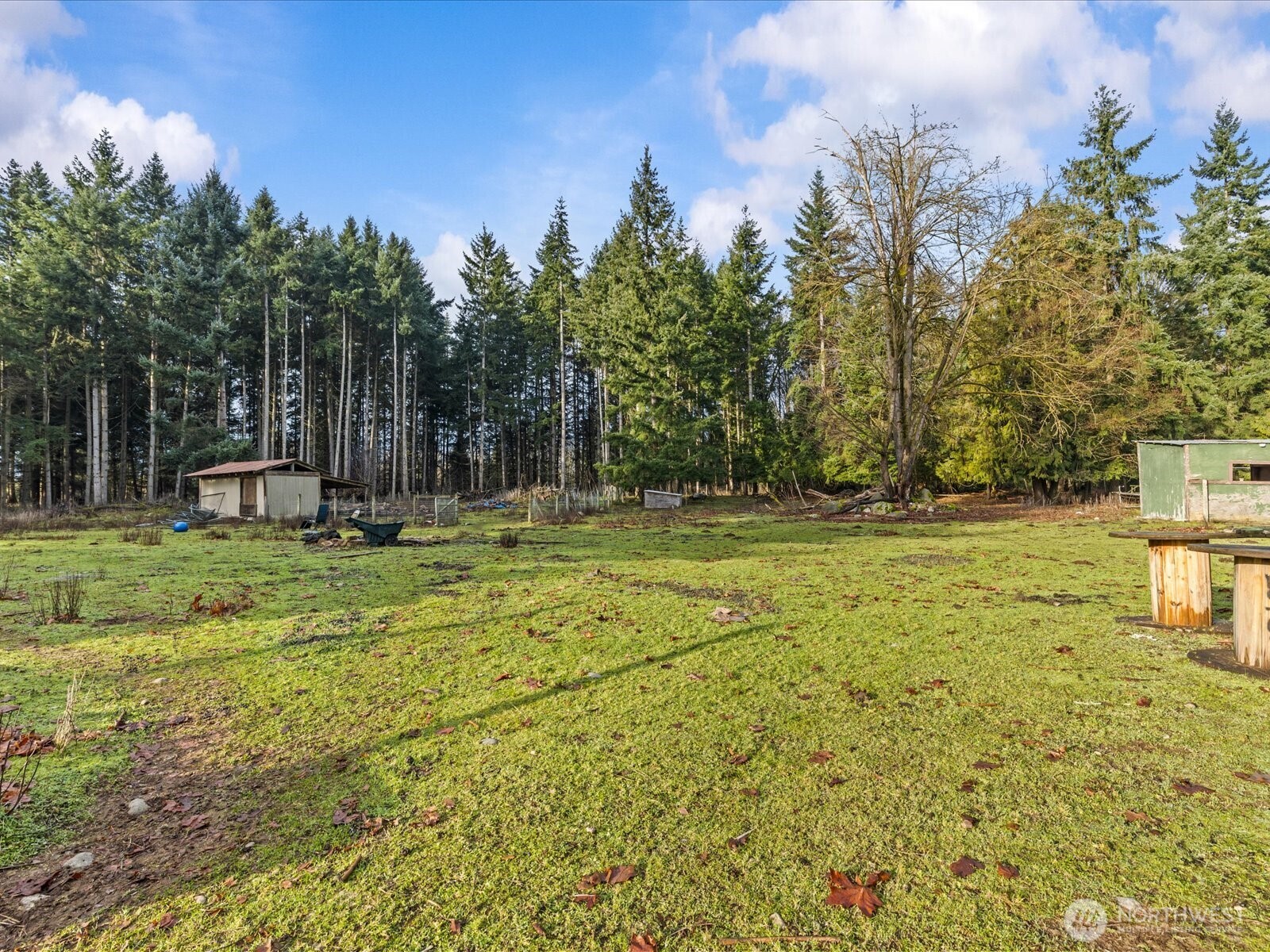 18348 152nd Court SE Yelm WA 98597
