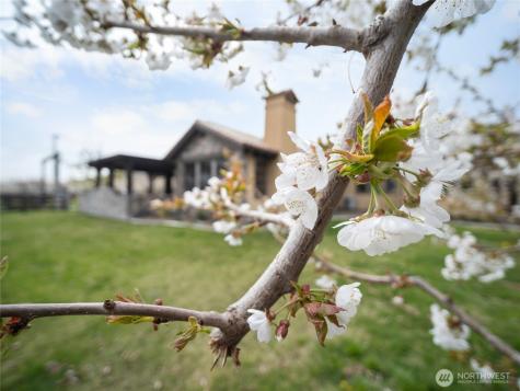 5814 Colockum Road Malaga WA 98828