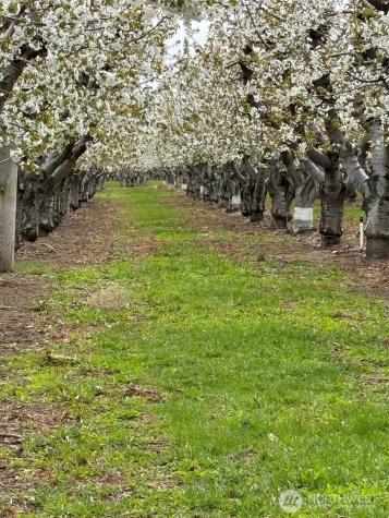 5814 Colockum Road Malaga WA 98828