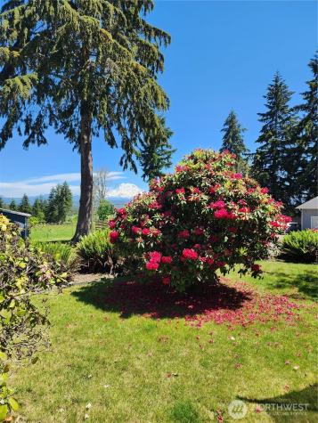 7704 283rd Street Court E Graham WA 98338