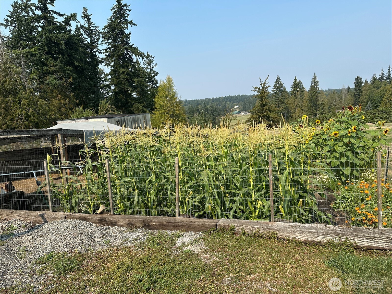 1720 Van Wyck Road Bellingham WA 98226