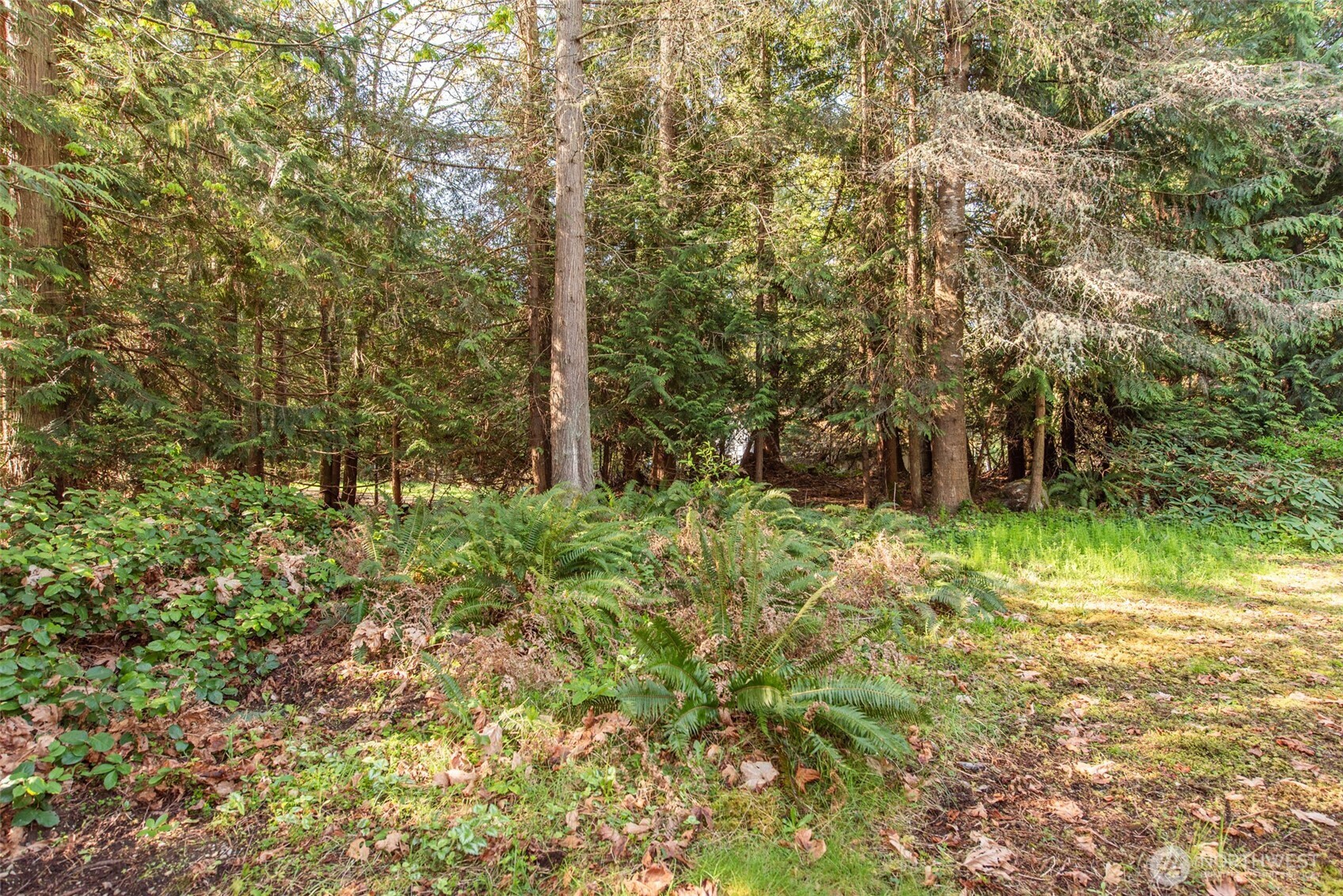 113 N Jensen Road Port Angeles WA 98362