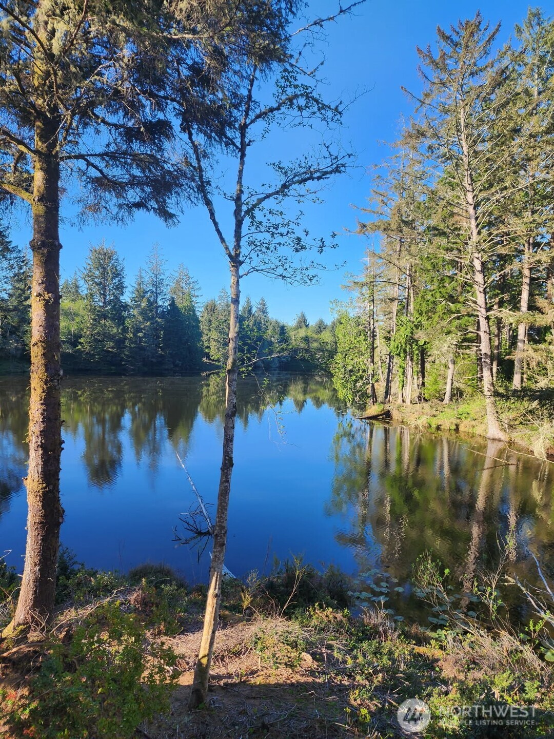 4 Lakeview Lane South Bend WA 98586